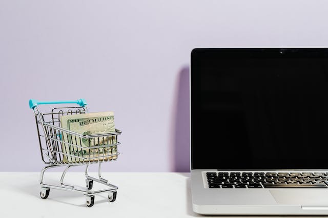 Tipos de eCommerce e seus Modelos de Negócio